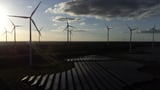 Europe posts record year for clean energy use as Trump pulls US toward fossil fuels