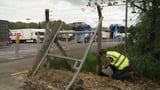 Invasive mosquito vector species detected in surveillance traps in United Kingdom