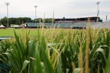 Phillies, Mets Set for Historic 'Field of Dreams' Clash After 3-Year Absence