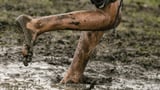 Dozens die from disease outbreak in one state