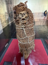 Smallpox DNA is recovered from Spanish conquest-era Chilean mummies
