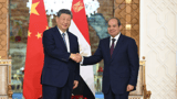 From desert to opportunity: China-Egypt ties deepen across sectors