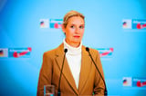 Germany’s AfD leadership torn over ties with Russia