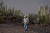 To a binational tribe, Trump’s border wall feels like betrayal