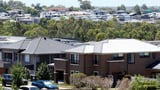 ‘Rip the guts out’: Albo’s bold claim