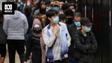 Computer simulation predicts Australia's COVID-19 vaccine campaign prevented thousands of deaths before Omicron spread