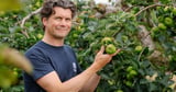 European protected status a ‘game-changer’ for Armagh Bramley apple growers