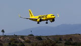 Spirit Airlines shares plunge on bankruptcy speculation | CNN Business