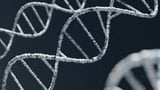 Cell and gene therapy funding: Trends and challenges in 2025