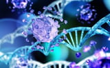 Herpes virus reshapes human DNA within one hour of infection