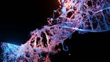 Populationwide DNA screening expands genetic risk testing beyond major medical centers