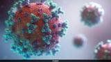 COVID-19 infections summer wave grows across US as cases rise