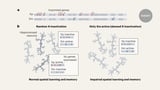 X chromosome passed from mother to daughter influences brain ageing