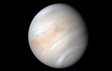 Scientists find more proof of life on Venus