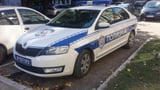 In the action of the BIA, a group that left pig heads in Berlin and Paris was arrested - KoSSev