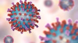 RSV Vaccines Are Highly Effective in Older Adults