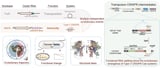 Research uncovers RNA splitting as key mechanism in the evolution of type V CRISPR-Cas systems - SSBCrack News