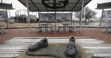 Man pleads guilty in theft of bronze Jackie Robinson statue from park - Los Angeles Times