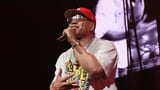LL COOL J, Lil' Kim & More To Perform At 2026 Rock The Bells Festival