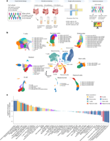 Single-cell RNA sequencing of terminal ileal biopsies identifies signatures of Crohn’s disease pathogenesis