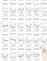 Sleep chart of biological ageing clocks in middle and late life