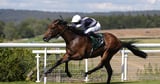 Enceladus firmly in the Leger mix for Joseph O’Brien