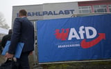 Germany's far-right AfD torn over Russia ties | Euractiv