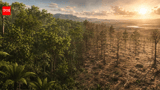 Wyoming fossils reveal ancient forests collapsed during extreme global warming and took over 100,000 years to recover: A stark warning for today’s climate