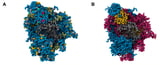 New automated platform accelerates discovery of high-performing polymer material blends