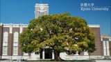 Kyoto University to Be Certified as International University for Research Excellence