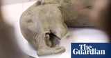 Baby mammoth in Russia is the ‘best-preserved’ ever found