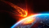 The asteroid that killed the dinosaurs may have helped ants conquer the world