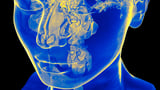 Your breathing pattern is unique like your fingerprint—and may help predict health issues