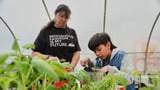 Tribes hope Farm Bill can feed more people and preserve Indigenous culture
