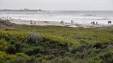 3 bodies recovered from small plane crash in California: Reports