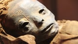 Egyptian mummy with Black Death DNA shows plague hit Europe later