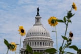 Senate leaders reach funding deal to avoid shutdown during campaign season