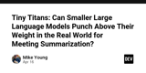 Tiny Titans: Can Smaller Large Language Models Punch Above Their Weight in the Real World for Meeting Summarization?