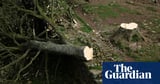 Two men felled Sycamore Gap tree in ‘mindless’ criminal act, court told