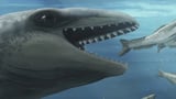 Discovery of New Prehistoric Whale Species Uncovers Insights into Evolution - SSBCrack News