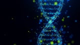 Researchers identify traces of two ‘ghost’ ancestors in modern human DNA