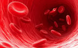 Red Blood Cells Continue to Astonish Scientists