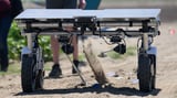 AI robots fill in for weed killers and farm hands