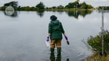 Controversial ‘arsenic life’ paper retracted after 15 years — but authors fight back