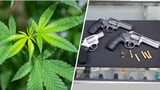 A Supreme Court case over whether marijuana users can own guns is creating unusual alliances