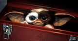 'Gremlins 3': Steven Spielberg, Chris Columbus to reunite - Los Angeles Times