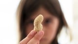 Advice to feed babies peanuts early and often helped 60,000 kids avoid allergies, study finds