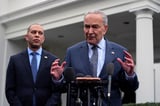 Democrats see party as ‘weak and ineffective,’ new poll finds