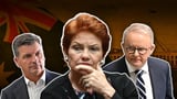 Hanson takes poll hit, coalition down to rock bottom