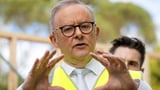 Warning on Albo’s home loan move